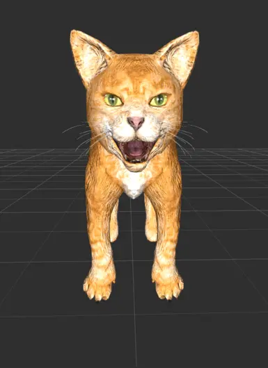 OG orange tabby