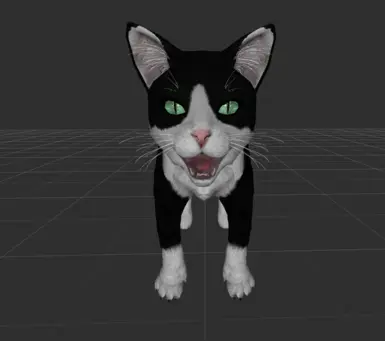 New tuxedo