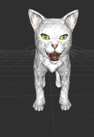 OG white spotted kitty
