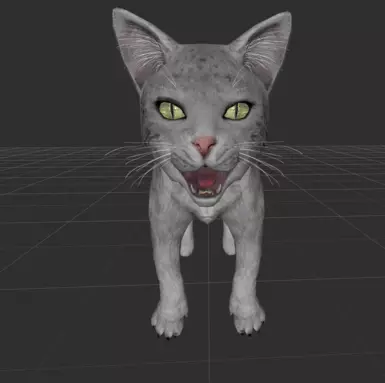 New white spotted kitty