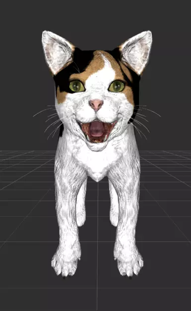 OG calico