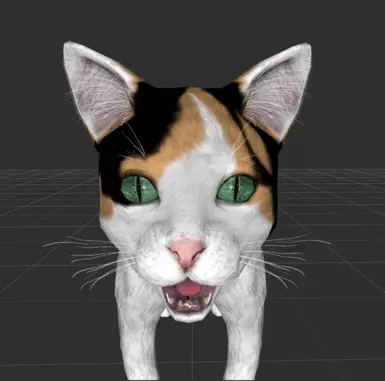 New calico