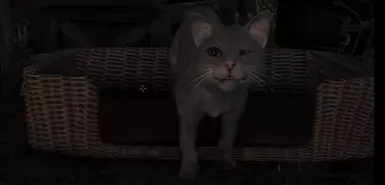 Cat from Kaidan Extended modelling the round pupils.