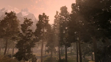Skyrim 3D Trees and Plants