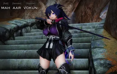 Elin race from the original mod (not in this mod)