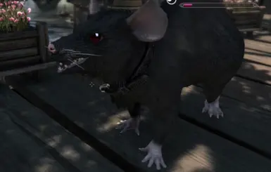 Goth pet energy.