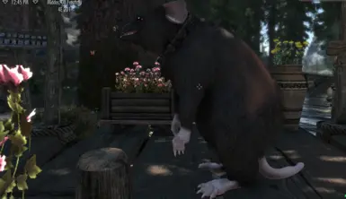 He's a chonker.