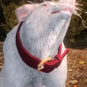 Normal Red Collar (picture from original Skritch mod)