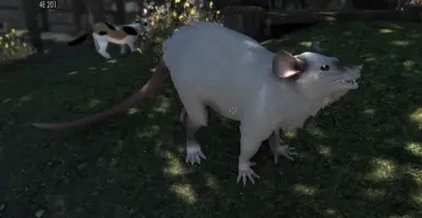A sweet, shy little baby in real life.