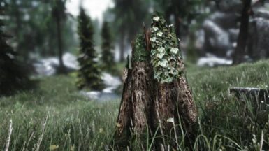 With The True Beauty of Skyrim - Photorealism ENB (Deleted of NexusMods).