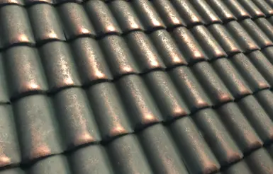Solitude copper roof