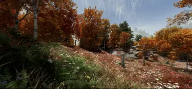 The Rift