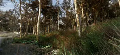 Marsh - Mixed