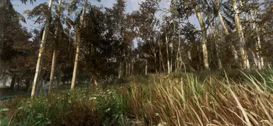 Marsh - Mixed