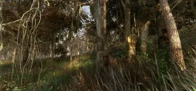 Marsh - Mixed