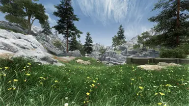 Reach - Green