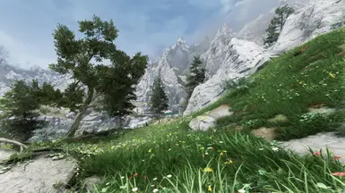 Reach - Green