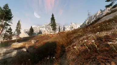 Volcanic Tundra