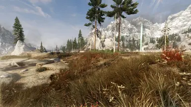 Volcanic Tundra