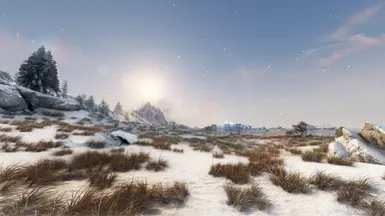 Snow
