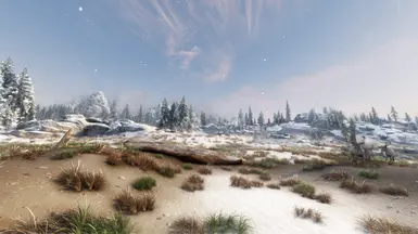 Snow