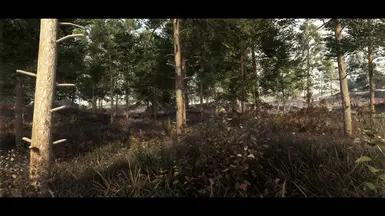 All Dead Tundra