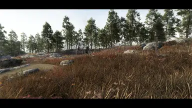 All Dead Tundra