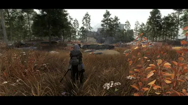 All Dead Tundra