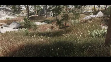 Tundra Default 