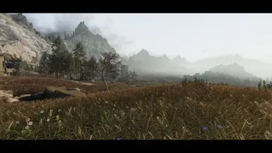 Tundra Default 