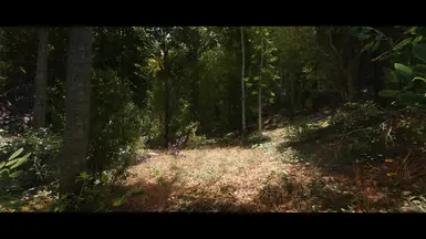 Realistic Pine