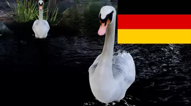 Ducks and Swans 2 - German Translation