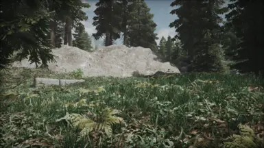 QW Grass patch 2 no Origins - Default