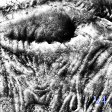 V4 Algorithm version - extracts more details in low/high areas of the height map