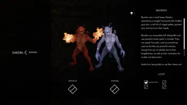 Optional file v1.1