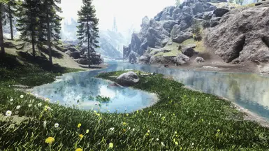 Tundra