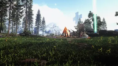 Tundra