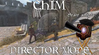 Director Mode