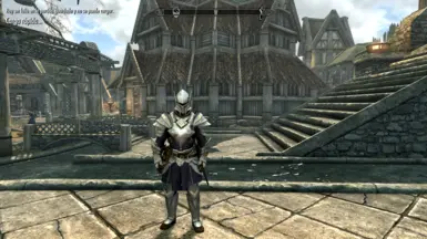 Veteran's Steel Plate Armor