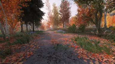 v1.1.0 Fall Forest01