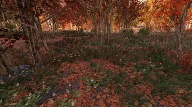 v1.1.0 Fall Forest02