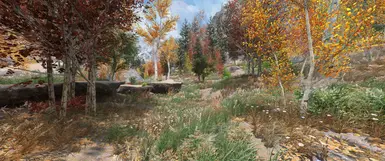 v2.0.0 Fall Forest