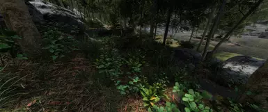 v3.0.0 Pine02
