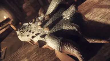 Skyrim4Ever91