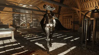 SPID Inquisitor Armor and Vampire Robes Replacer