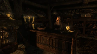 Skyrim investing in shops bug hall how to make money through investing in real estate