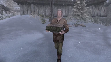 The new NPCs will carry firewood to their homes