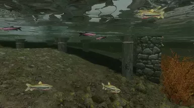 Winterhold Restored - Expanded Fishery Patch (CACO alone)