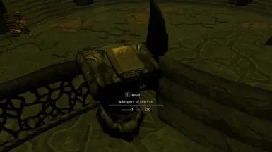 You must not read from the book