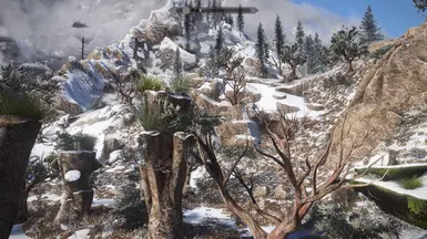 Snow Gums Instead of Reach Trees